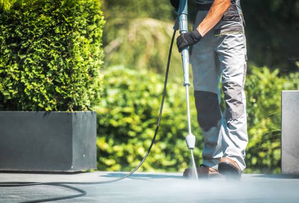 Animal Enclosure Cleaning in Sutherland, NE
